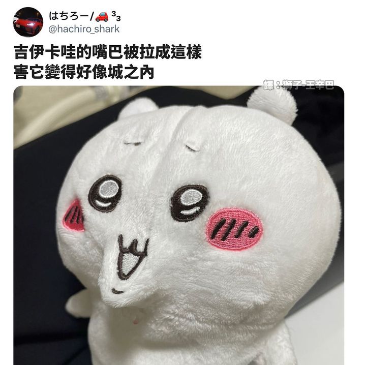 网购《吉伊卡哇》没看清货源收到「超消瘦吉伊卡哇」！网友：意外越看越可爱？