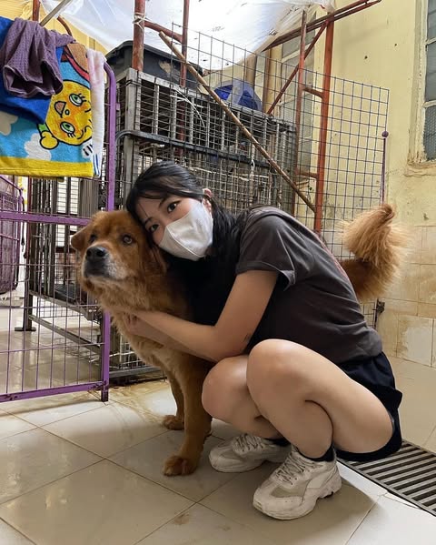 香妹《Hayley Wong》清纯又可爱！却有藏不住的危险胸器...