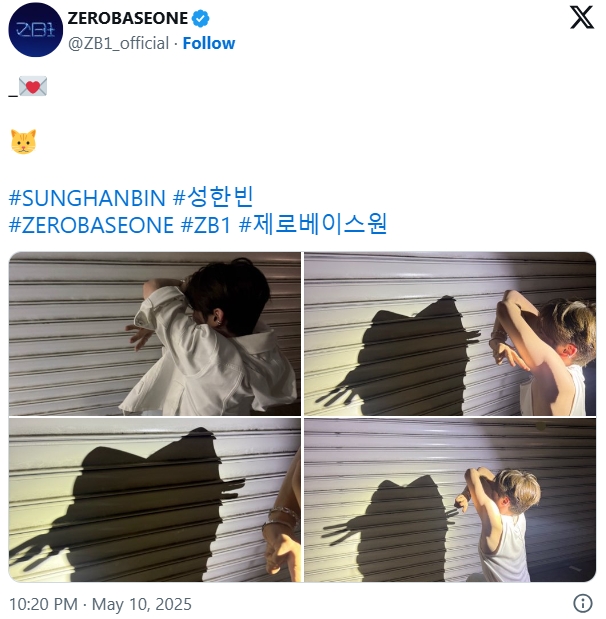 神奇X趋势「猫咪影子Milady」在网络上发酵！吸引二创、真人模仿潮！