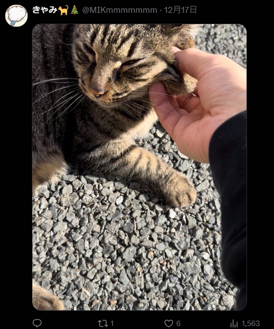 樱花妹分享《可爱捏照引起效仿潮》！但流行的是「捏宠物的脸颊」不是人的...