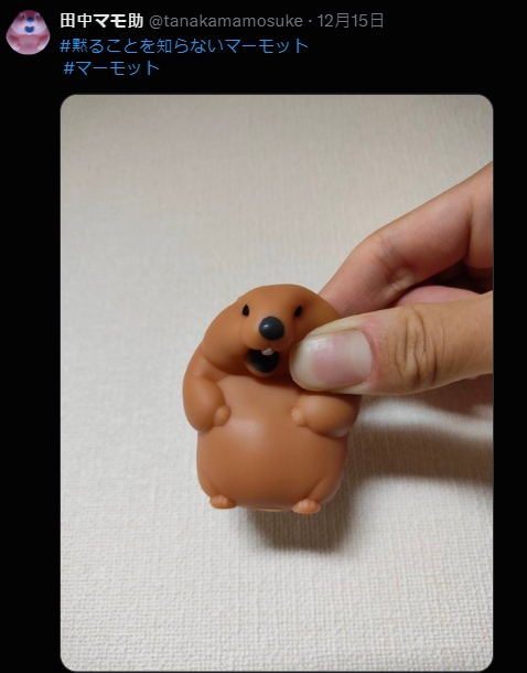 樱花妹分享《可爱捏照引起效仿潮》！但流行的是「捏宠物的脸颊」不是人的...