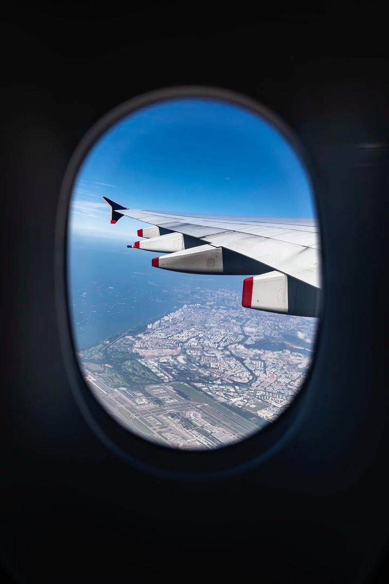 章鱼汉堡12338的头像